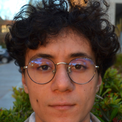 Picture of the person